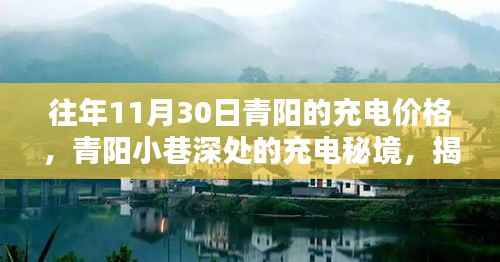 揭秘青阳小巷深处的充电秘境,往年11月30日的充电价格传奇回顾