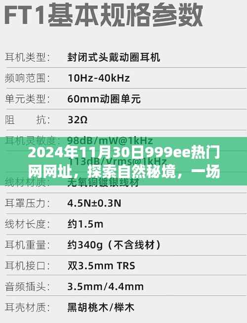 探索自然秘境的心灵之旅,揭秘最新热门网址999ee热门网在2024年11月的新体验