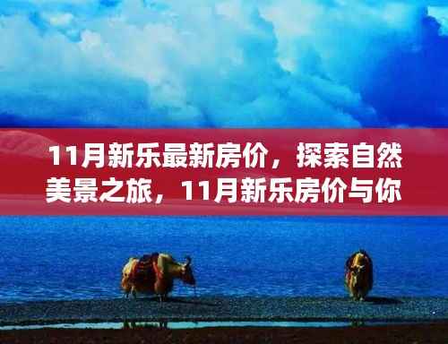 11月新乐房价探索之旅,自然美景与心灵宁静的双重体验
