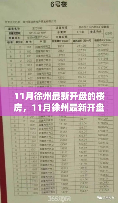 11月徐州最新开盘楼盘解读,热门楼盘一览及市场趋势分析