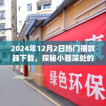 探秘小巷深处的音乐宝藏，热门播放器下载之旅（2024年）