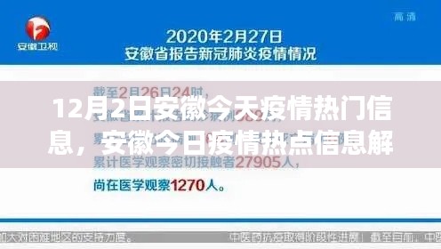 安徽疫情热点解读,今日最新信息深度剖析与多维对比