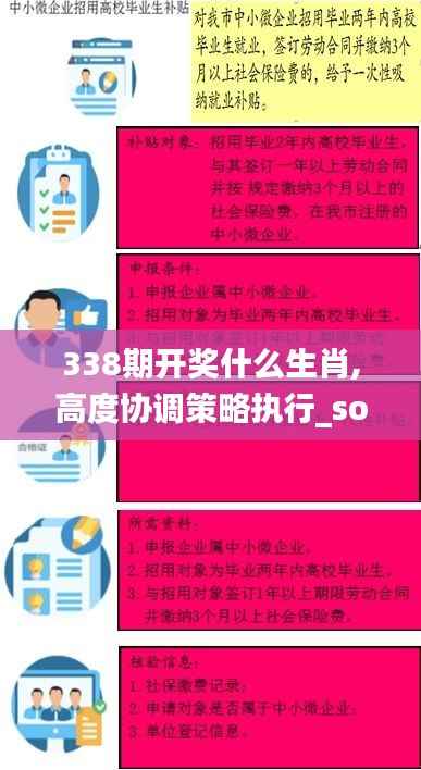 338期开奖什么生肖,高度协调策略执行_soft81.652-1