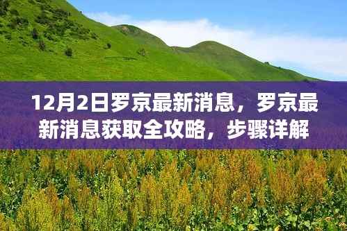 罗京最新消息获取全攻略,步骤详解及最新动态揭秘