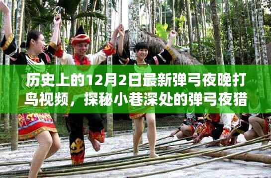 探秘弹弓夜猎胜地,揭秘最新夜晚打鸟视频背后的故事与弹弓夜晚的神秘魅力