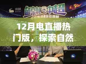 12月电直播热门版,自然美景之旅,探寻内心的宁静与平和