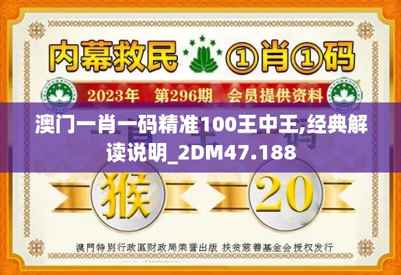 澳门一肖一码精准100王中王,经典解读说明_2DM47.188