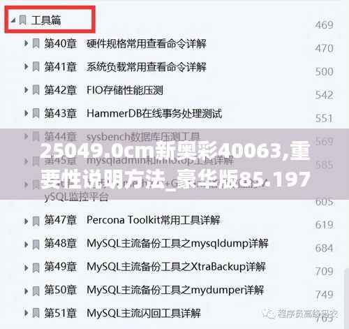 25049.0cm新奥彩40063,重要性说明方法_豪华版85.197