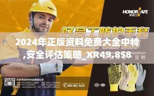 2024年正版资料免费大全中特,安全评估策略_XR49.858