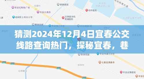 探秘宜春公交奇遇与小店惊喜，宜春公交线路查询热门预测（2024年12月4日）