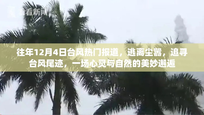 追寻台风尾迹,心灵与自然的美妙邂逅,历年台风热门报道回顾