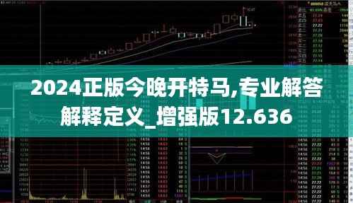 2024正版今晚开特马,专业解答解释定义_增强版12.636