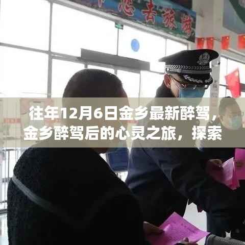 金乡醉驾后的心灵探索，自然美景成心灵慰藉之旅