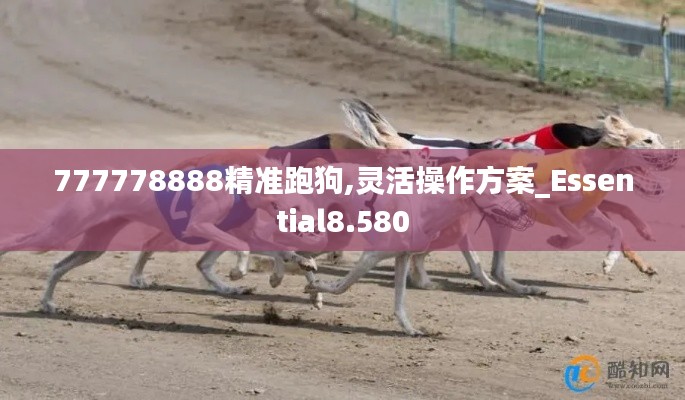 777778888精准跑狗,灵活操作方案_Essential8.580