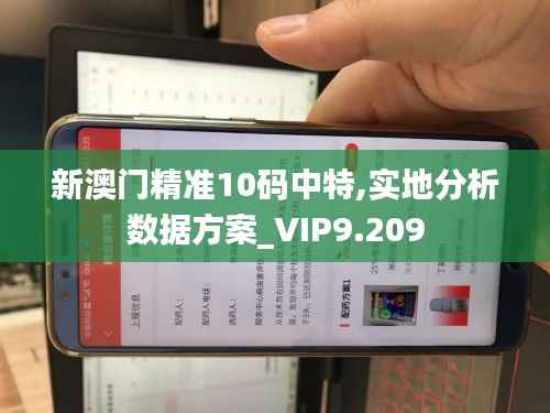 新澳门精准10码中特,实地分析数据方案_VIP9.209