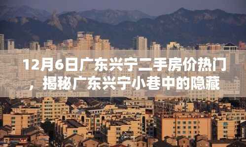 揭秘广东兴宁小巷中的隐藏宝藏,二手房价热门背后的特色小店盛况揭秘(独家报道)