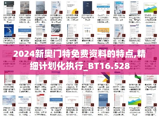 2024新奥门特免费资料的特点,精细计划化执行_BT16.528