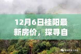 12月6日桂阳最新房价,探寻自然美景之旅,12月桂阳最新房价,带你寻找内心的宁静与平和