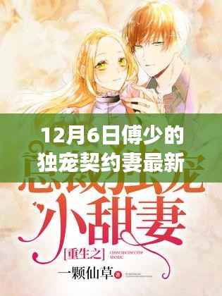 傅少的独宠契约妻最新动态深度解析,独家观察与最新更新