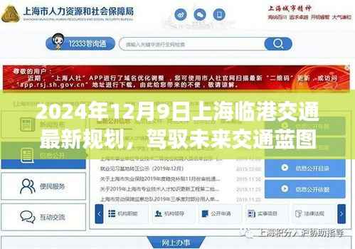 驾驭未来交通蓝图，2024年上海临港交通新规划启示录
