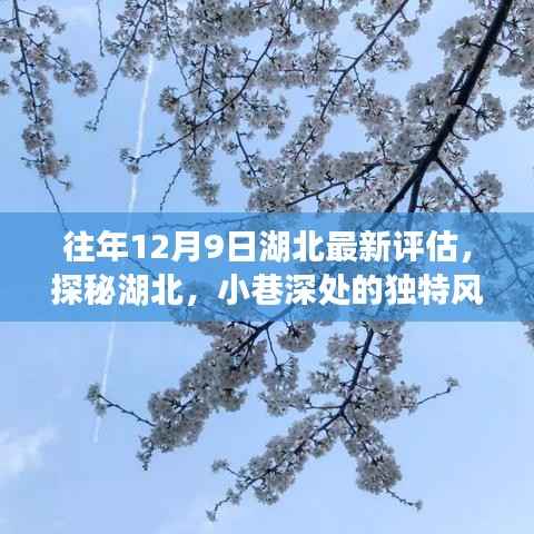 往年12月9日湖北最新评估,探秘湖北,小巷深处的独特风味——12月9日湖北最新评估揭秘