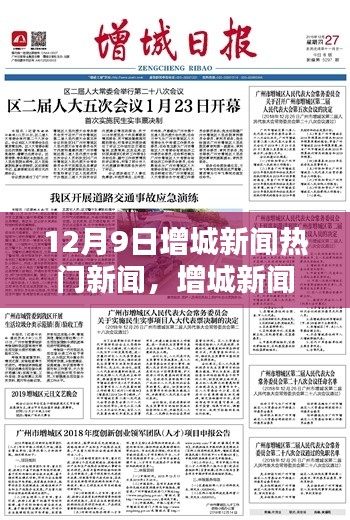 12月9日增城新闻热点聚焦,回顾与影响