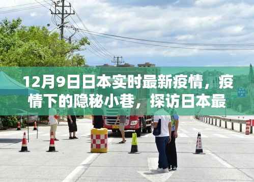 探访日本最新疫情下特色小店,隐秘小巷中的故事与防疫进展观察(实时更新)