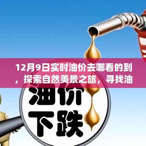 探索自然美景之旅,油价信息实时查询与宁静启程的启程