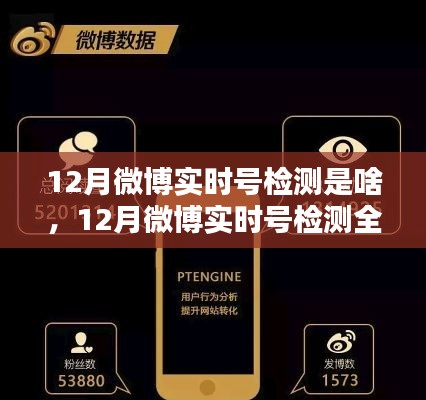 12月微博实时号检测详解,全攻略与操作指南