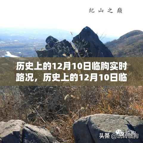 历史上的临朐实时路况回顾,智能导航引领未来出行新纪元