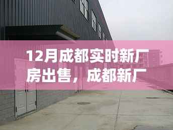 深度解析,成都新厂房出售背景、事件与影响,实时资讯全解读