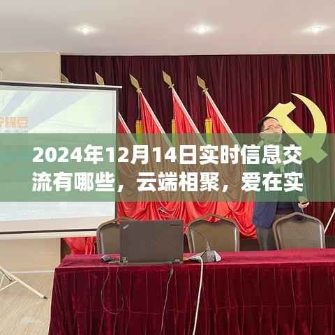 云端相聚,爱在实时交流,2024年实时信息交流概览