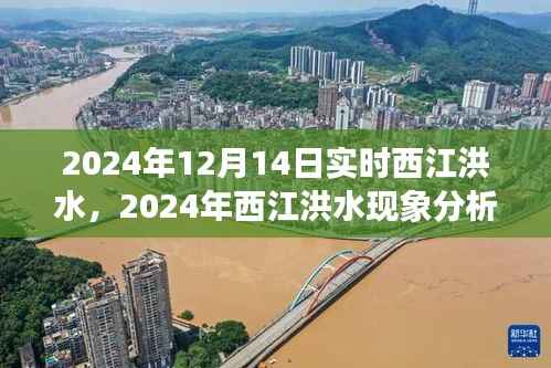 西江洪水现象分析,多方观点碰撞与个人立场下的洪水观察与思考