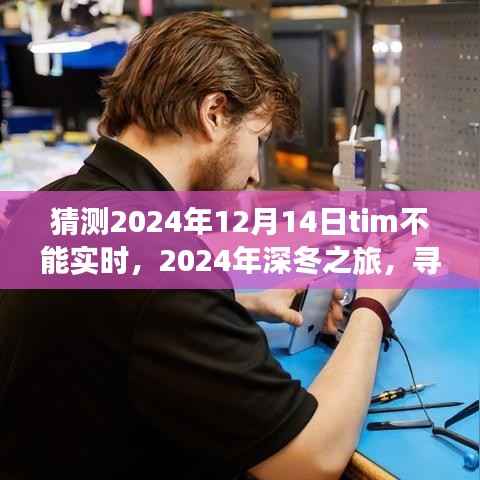 深冬之旅,寻找内心的宁静,Tim实时功能预测与探索