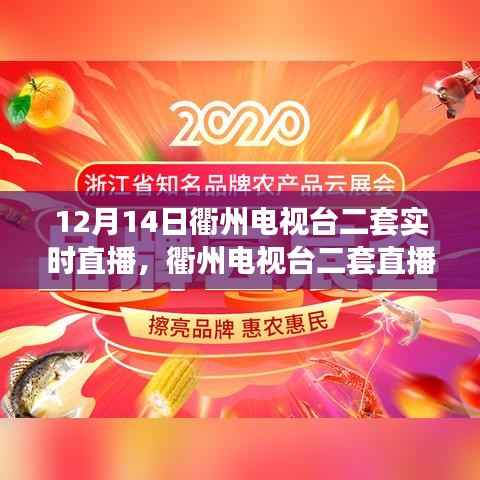 12月14日衢州电视台二套直播观看指南及入门教程(初学者篇)