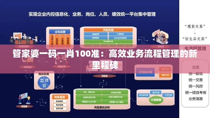 管家婆一码一肖100准:高效业务流程管理的新里程碑
