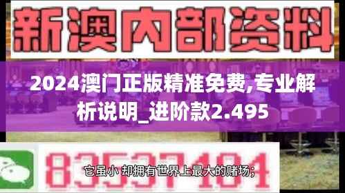 2024澳门正版精准免费,专业解析说明_进阶款2.495