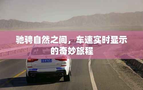 自然驰骋,实时车速的奇妙旅程