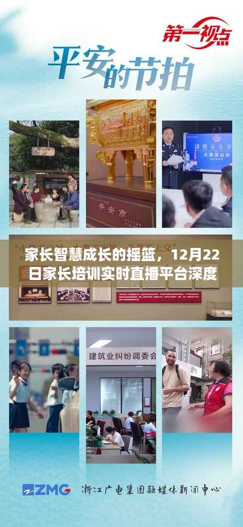 家长智慧成长深度探析,线上培训平台的摇篮作用与实时直播培训解析