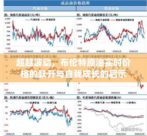 媒体报道 第267页