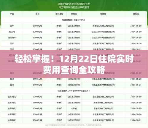 12月22日住院实时费用查询攻略，轻松掌握费用信息