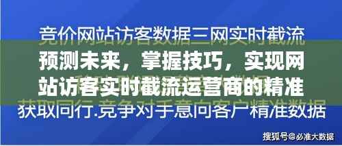 网站访客精准截流策略,预测未来,掌握技巧,初学者与进阶用户指南