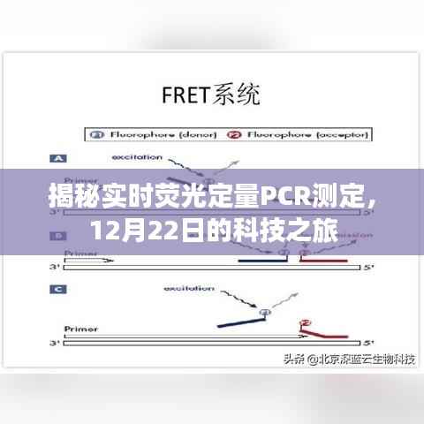 揭秘实时荧光定量PCR测定,科技之旅启程于12月22日