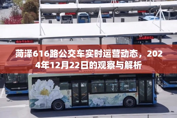 菏泽616路公交车实时运营动态解析,2024年12月22日观察报告