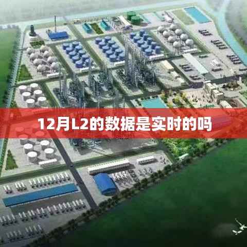 12月L2数据实时性解析