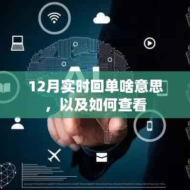 实时回单解读与查看方法,12月操作指南