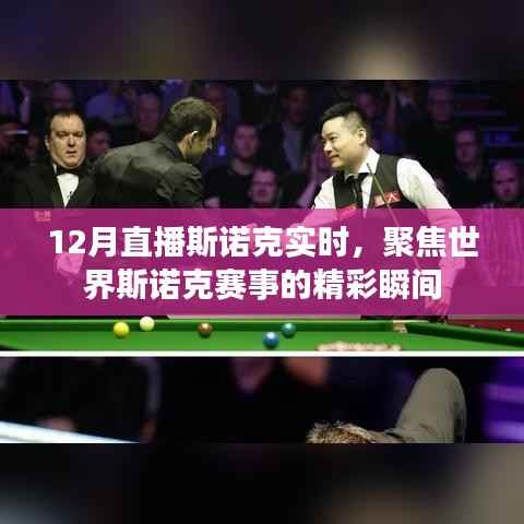 聚焦斯诺克赛事精彩瞬间,实时直播不容错过