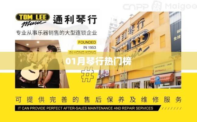 01月琴行热门榜单揭晓