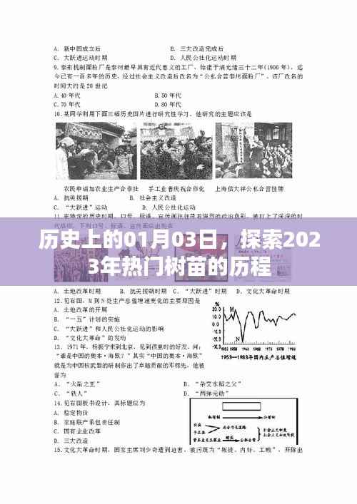 揭秘2023年树苗热潮起源,历史视角下的01月03日探索之旅