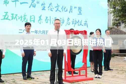 胡锡新热门事件揭秘,老胡发声,聚焦时事热议